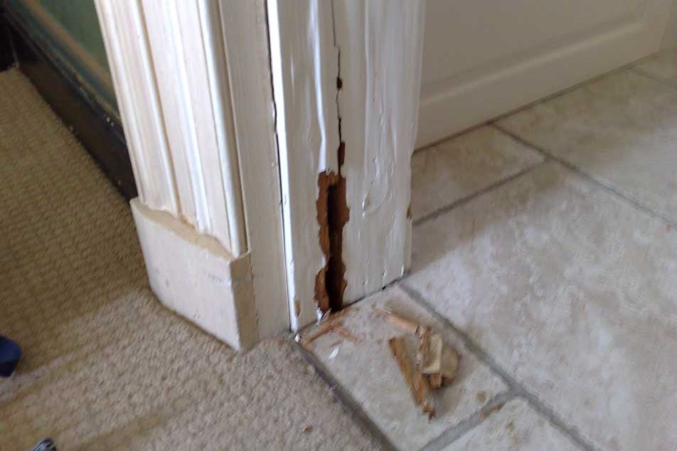 Wet rot - in door frame - PCA
